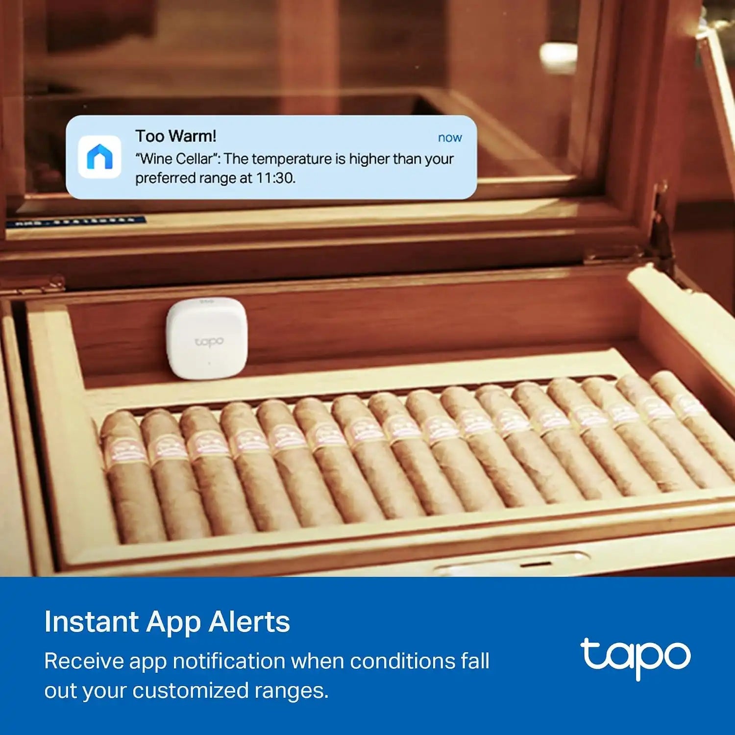 Tapo Smart Temperature and Humidity Sensor, Requires Tapo Hub, T310